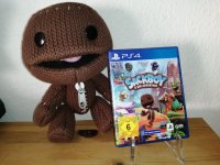 sackboy.jpg