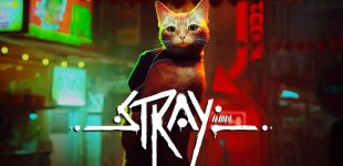 straybanner.jpg straybanner.jpg