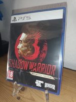 shadow warrior 3.jpg