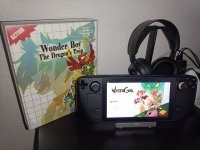 Wonderboy the dragons trap steam.jpg