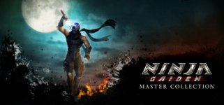ninjagaidenmastercoll.jpg