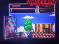 wonder boy monster.jpg