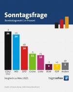 IMG_6566.jpeg